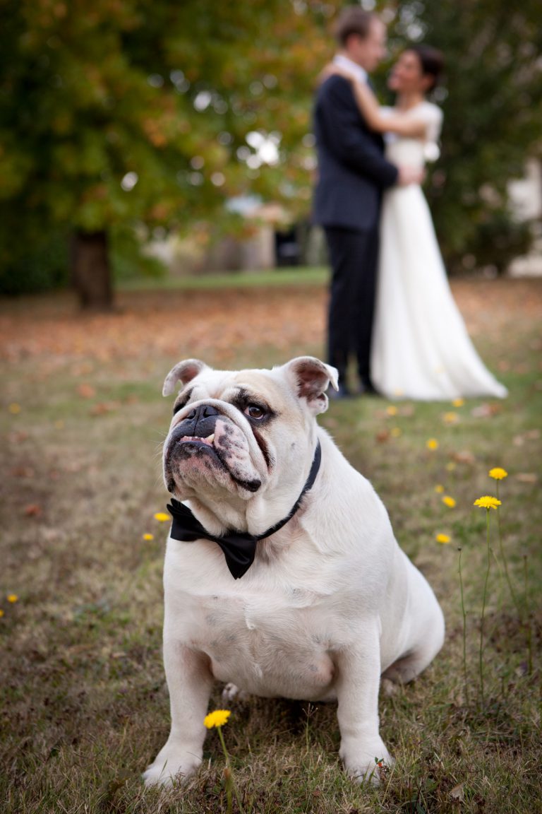 Photographe Mariage Dordogne Périgueux 01