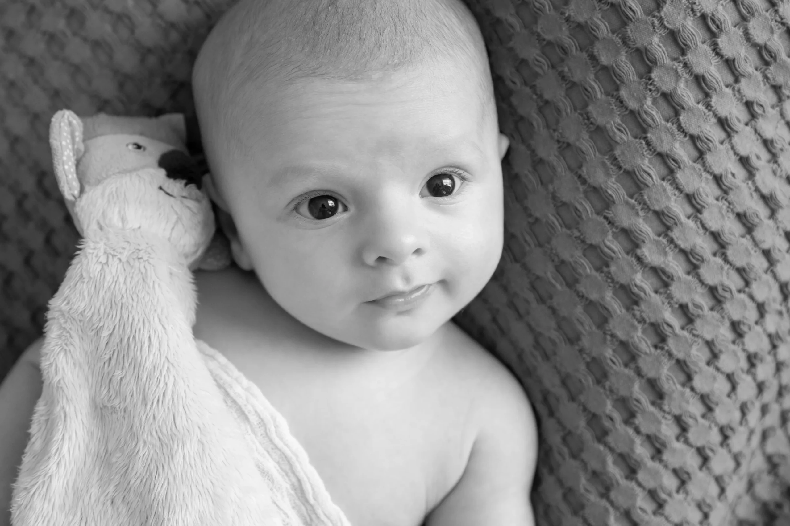 photographe bébé Périgueux Dordogne