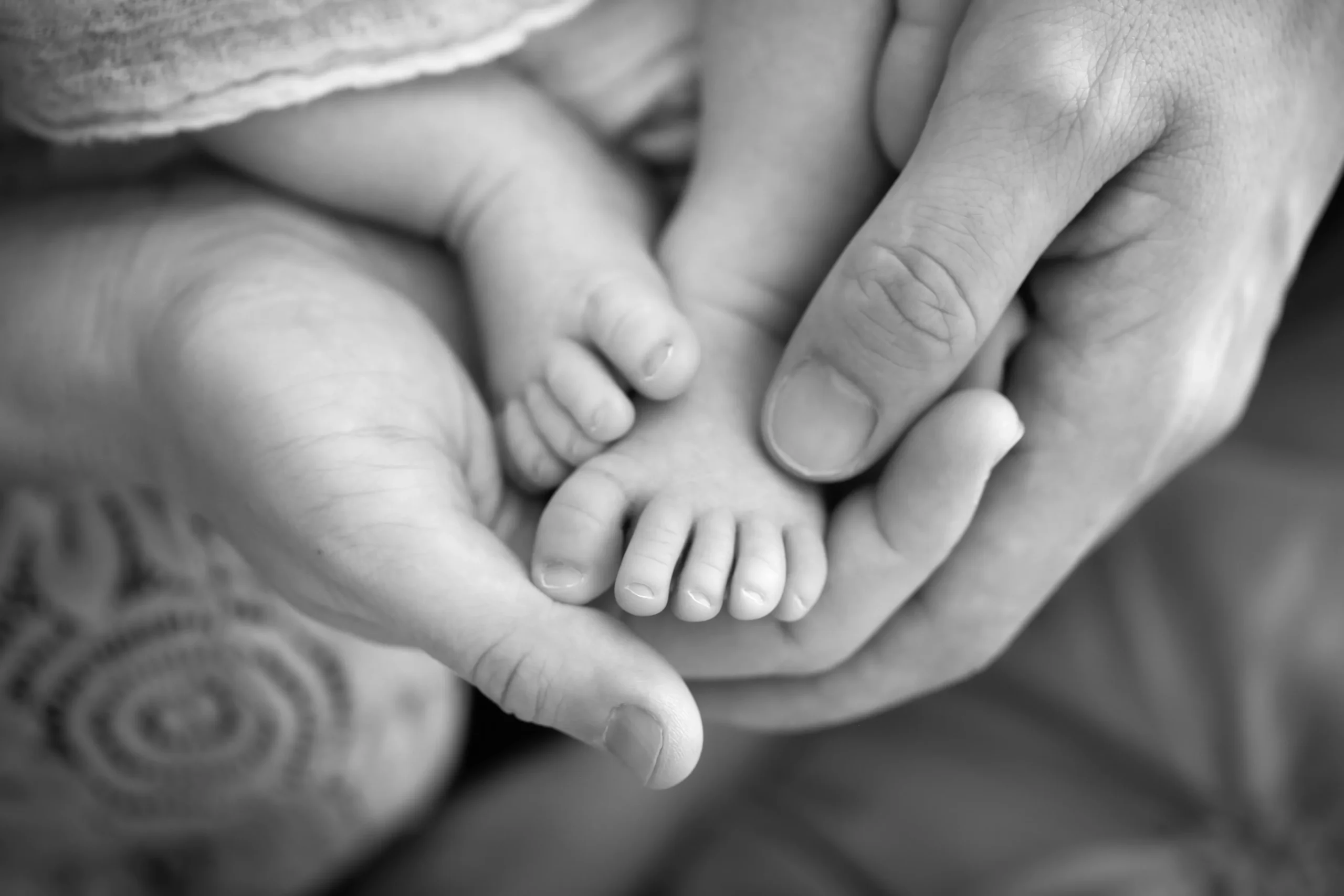 photographe bébé Périgueux Dordogne